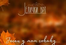 Drugo izdanje “Ateničke jeseni“ u “Jeličkom vrtu“ od 18. do 24. oktobra: Sedam večeri muzike uživo